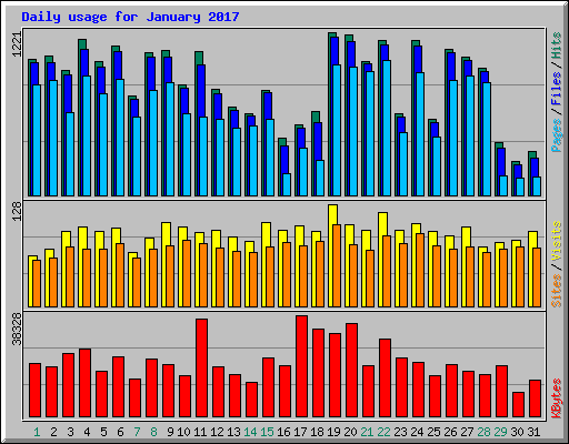 Daily usage for January 2017