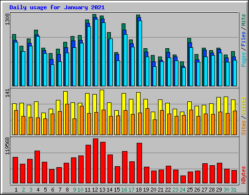 Daily usage for January 2021