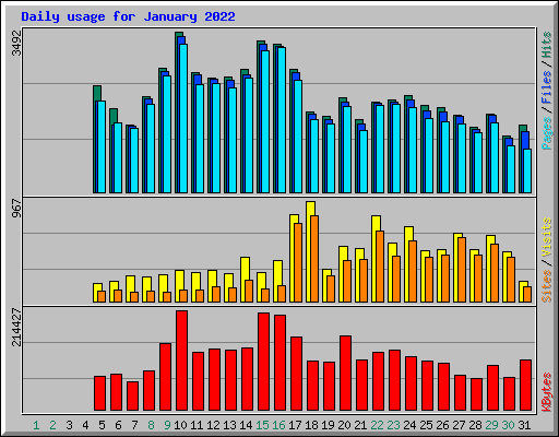 Daily usage for January 2022