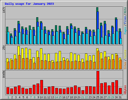 Daily usage for January 2023
