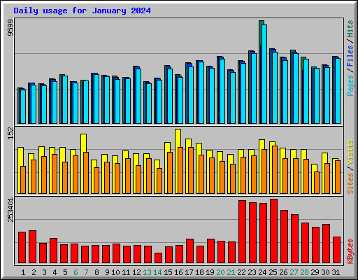 Daily usage for January 2024