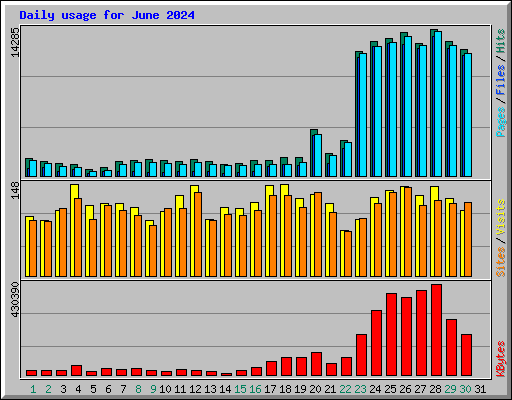 Daily usage for June 2024