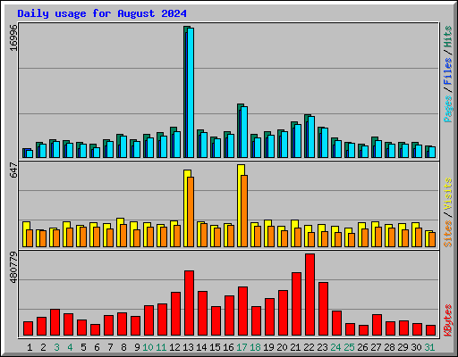 Daily usage for August 2024
