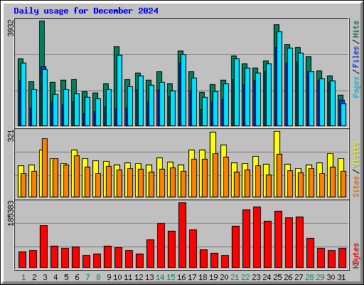 Daily usage for December 2024