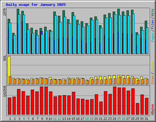 Daily usage for January 2025