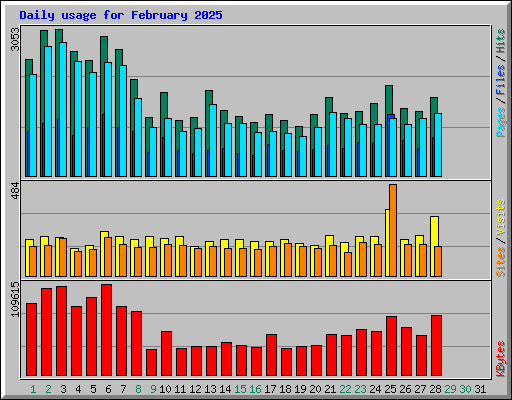 Daily usage for February 2025