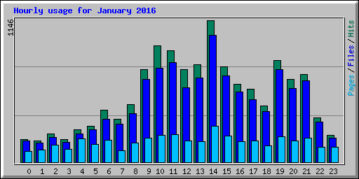 Hourly usage for January 2016