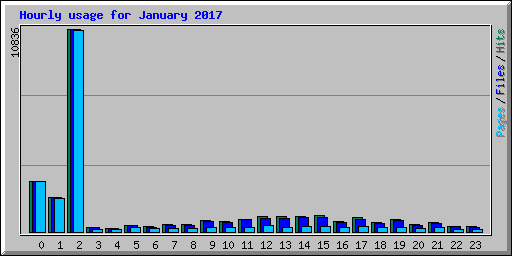 Hourly usage for January 2017
