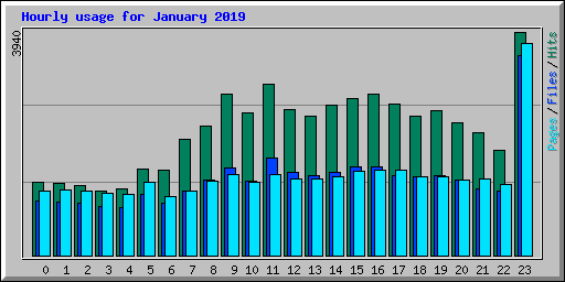 Hourly usage for January 2019