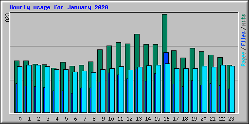 Hourly usage for January 2020