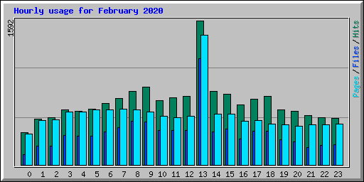 Hourly usage for February 2020