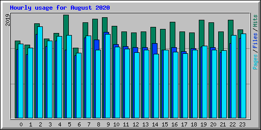 Hourly usage for August 2020