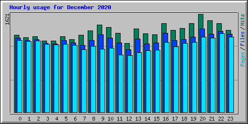 Hourly usage for December 2020