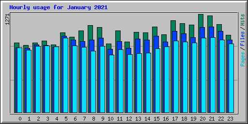 Hourly usage for January 2021