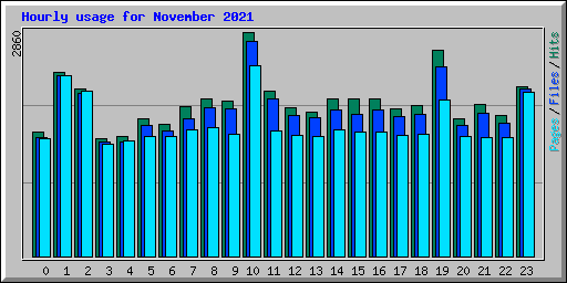 Hourly usage for November 2021