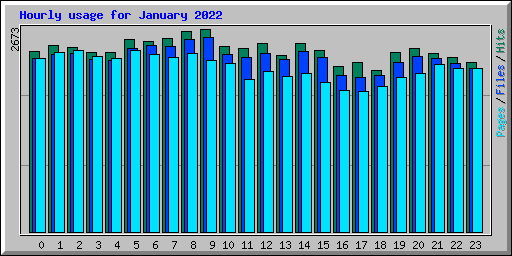 Hourly usage for January 2022