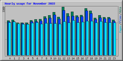 Hourly usage for November 2022