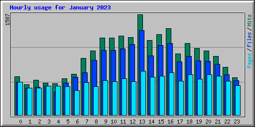 Hourly usage for January 2023