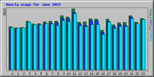 Hourly usage for June 2023