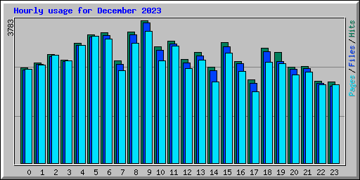 Hourly usage for December 2023