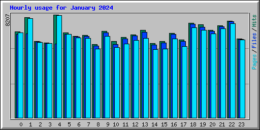 Hourly usage for January 2024