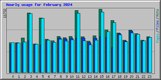 Hourly usage for February 2024