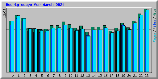 Hourly usage for March 2024