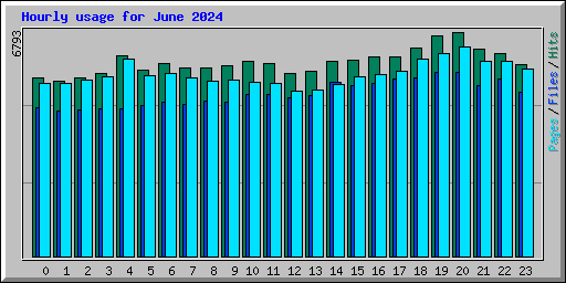 Hourly usage for June 2024