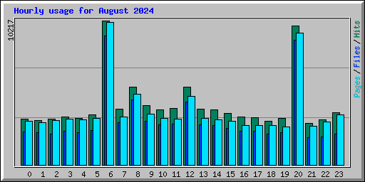 Hourly usage for August 2024