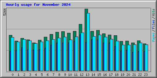 Hourly usage for November 2024