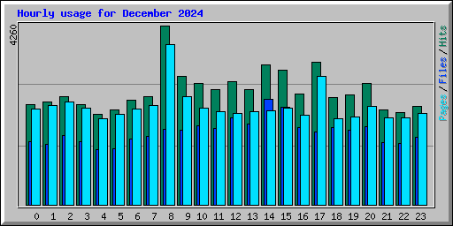 Hourly usage for December 2024