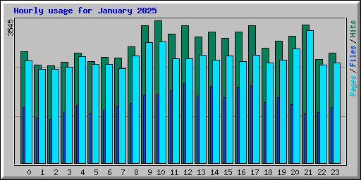 Hourly usage for January 2025