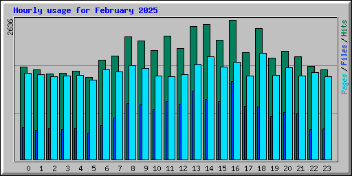 Hourly usage for February 2025