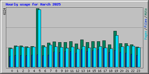 Hourly usage for March 2025