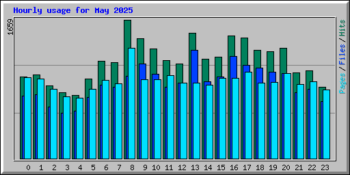 Hourly usage for May 2025