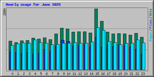 Hourly usage for June 2025