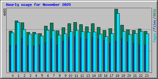 Hourly usage for November 2025
