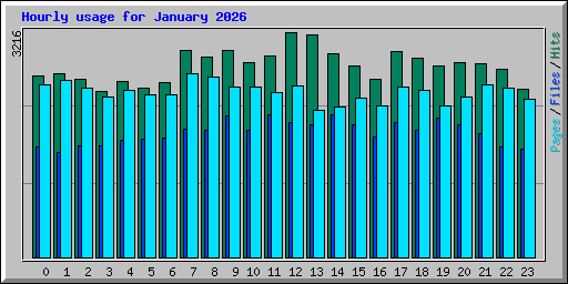 Hourly usage for January 2026