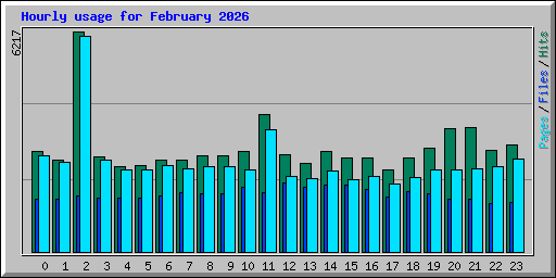 Hourly usage for February 2026